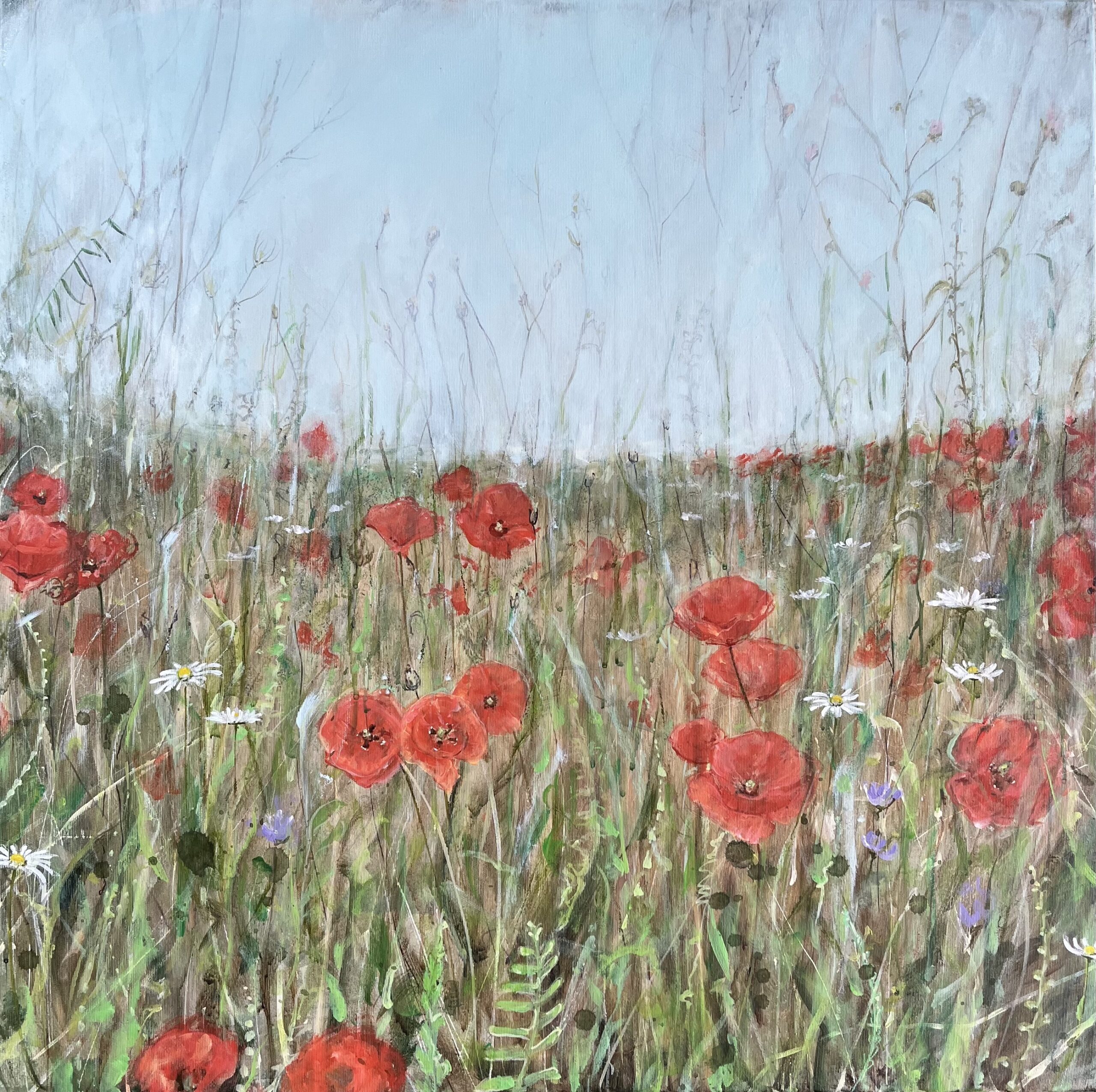 papaver